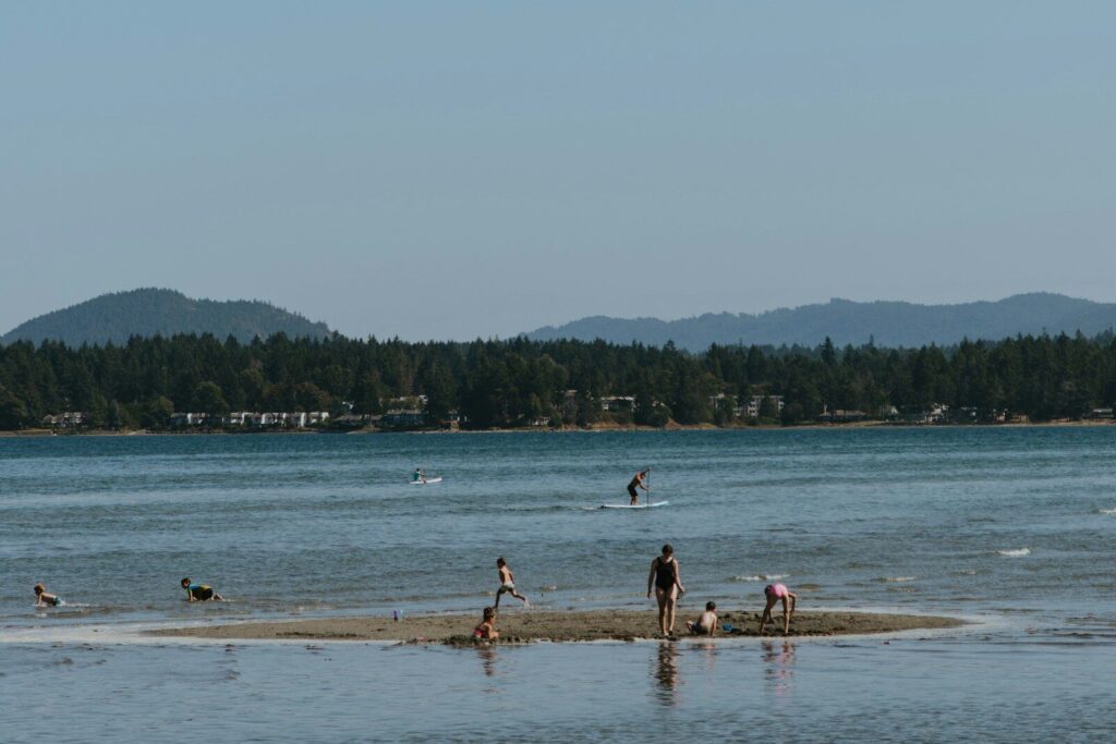 people on beach during daytime